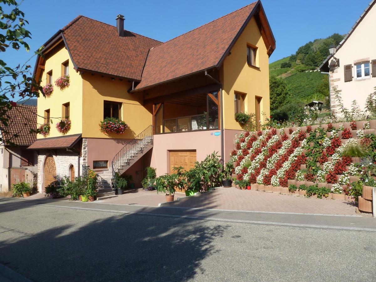 Schiefferberg Villa Bernardvillé Exterior photo